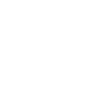 gatonegro logo